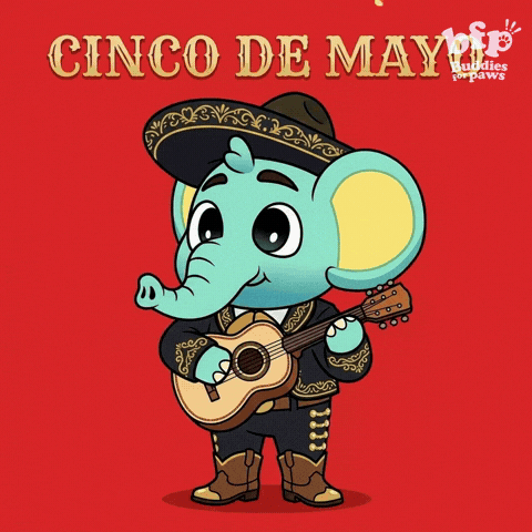 Happy Cinco De Mayo GIF by Buddies for Paws