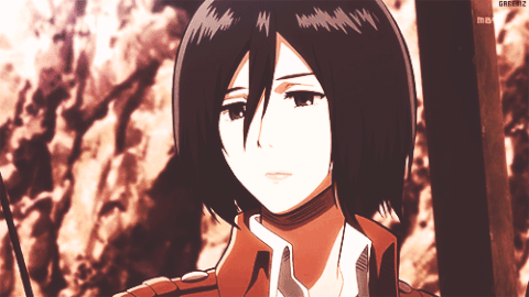 mikasa