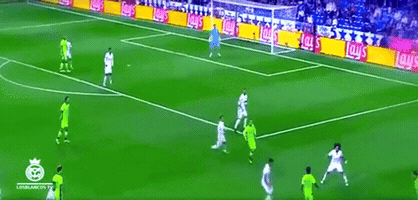 FLC  GIF