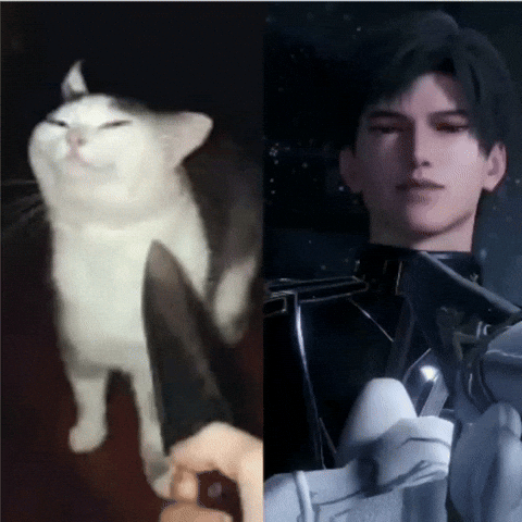 Love And Deepspace GIF