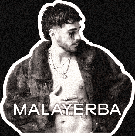 GIF by Malayerba