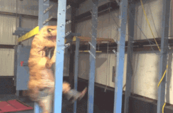 american ninja warrior