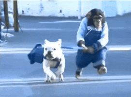 dogs shed GIF