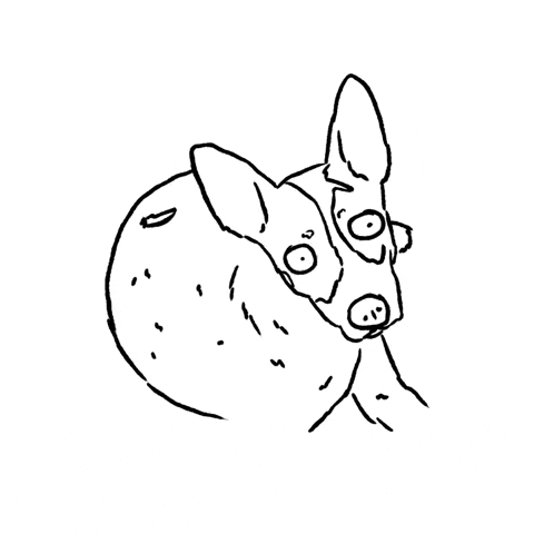 Dog What GIF by butpoorlydrawn