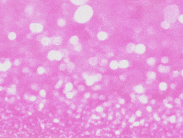 Sinihoo GIF