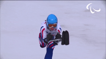 Alpine Skiing Snow GIF by International Paralympic Committee