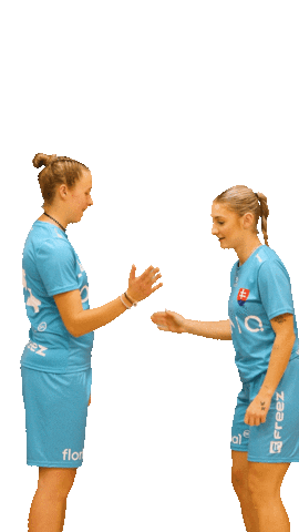 Floorball Slovakia Sticker by Slovenský zväz florbalu