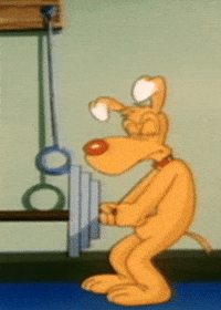 Dog GIF