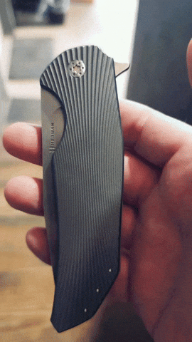Dragonfly GIF