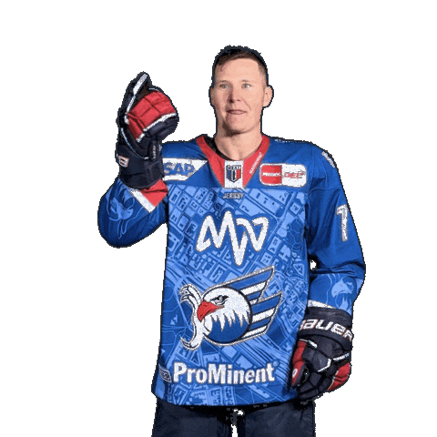 Solow Sticker by Adler Mannheim