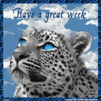 leopard