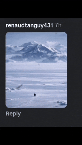 Penguin Peak GIF