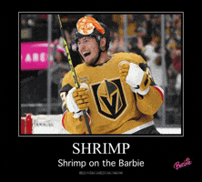 Vegas Golden Knights GIF