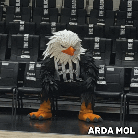 Kartal GIF