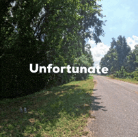 Stunt Stoppie GIF