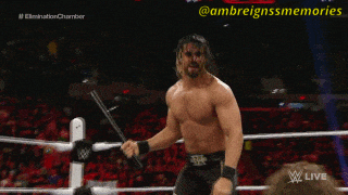 Roman Reigns Wwe GIF