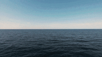 GIF by The Mayda Creative Co.