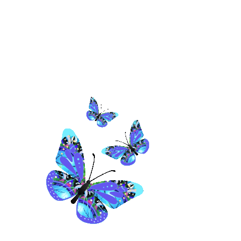 Edct Sticker by Earthdance Cape Town