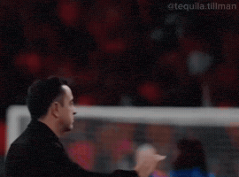 Hand Netherlands GIF
