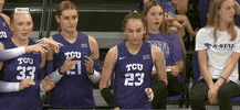 Tcuvolleyball Tcu Volleyball Frogs Hornedfrogs Parra GIF by TCU Athletics