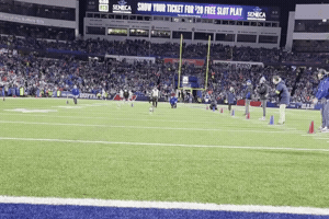 Corgi GIF