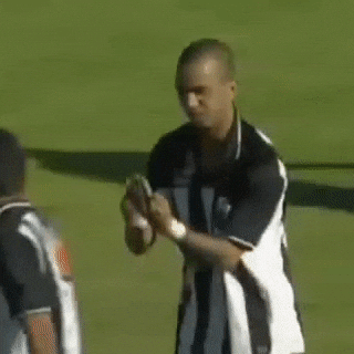 Galo GIF