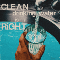 No Plain Water! जानिए वो 1 सीक्रेट तरीका जो गर्मी में पानी को बना देता है 'हीलिंग ड्रिंक 8 Dont Drink The Water Gifs - Find &Amp; Share On Giphy