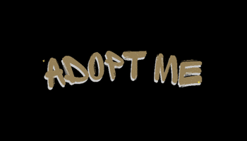 Adopt Take Me Home GIF by HDBnQ Rescue