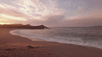Chill California GIF by Middlebury