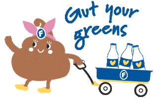 FRISO Singapore Sticker