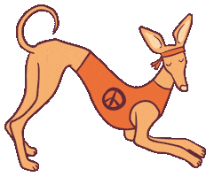 Yoga Podenco Sticker by elgalgoazul