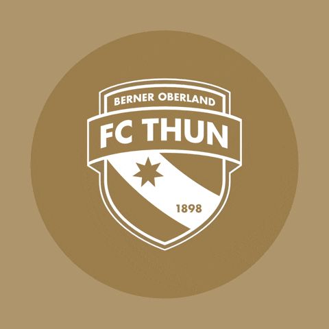 Super League Meister GIF by Stadt Thun