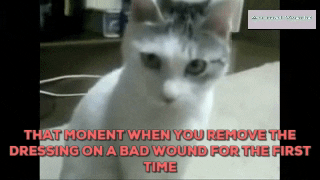 kimberli  GIF