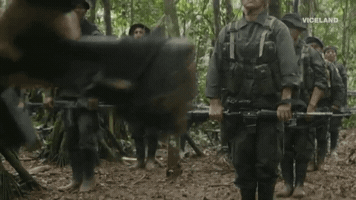 vicecol gif 3 woman GIF