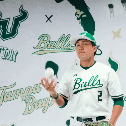 South Florida Baseball GIF by USF Athletics