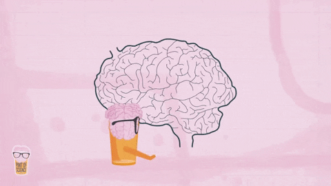 Brain Neuroscience GIF by Pint of Science world - Find & Share on GIPHY