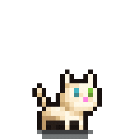 Cat Kitty Sticker