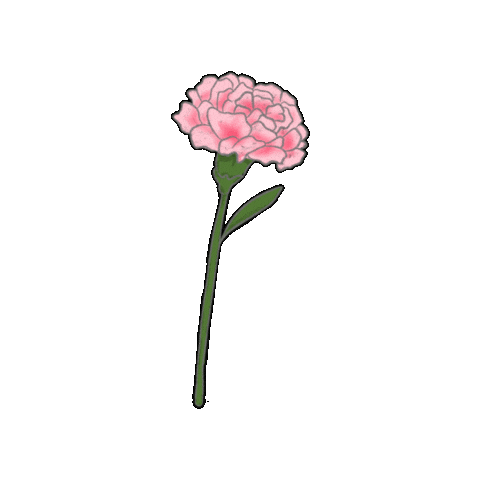 Flower 꽃 Sticker