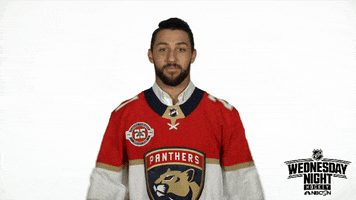 florida panthers no GIF by NHL on NBC Sports