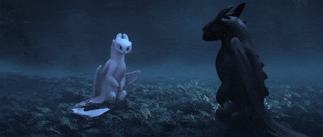 got to go dragons GIF by How To Train Your Dragon