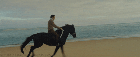 horse GIF