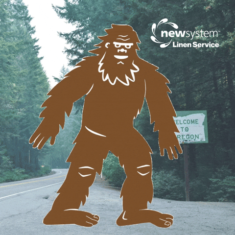 Bigfoot Sasquatch GIF by NewSystemLaundry