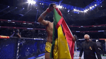 Sport Win GIF by UFC