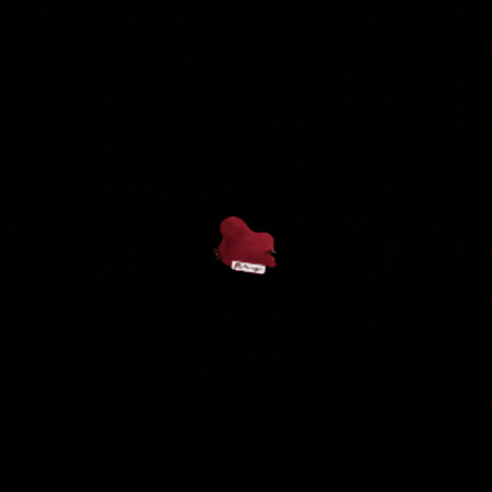 Heringer GIF