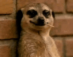Smirk Funny Reaction GIF