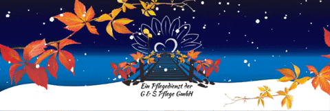 Gundspflegegmbh Snowing Winter GIF