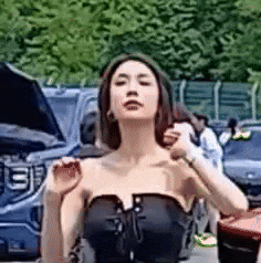 Model GIF