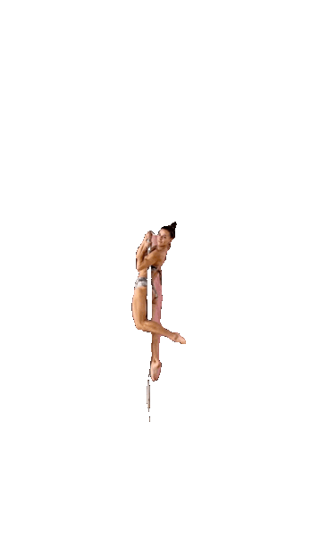 Pole dance academy Praha Sticker
