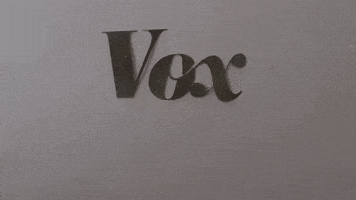 news GIF by Vox