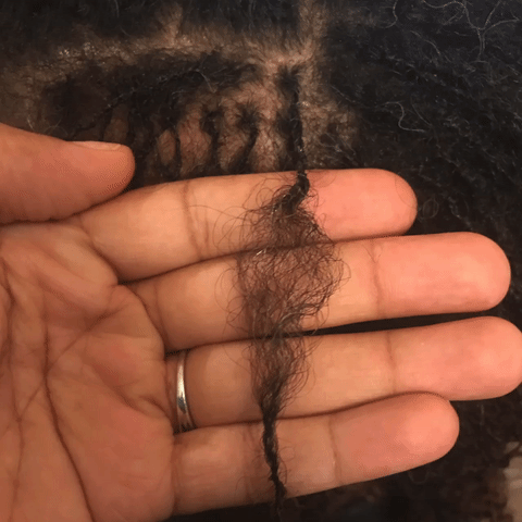 curlynugrowth repair dreads locs interlocking GIF